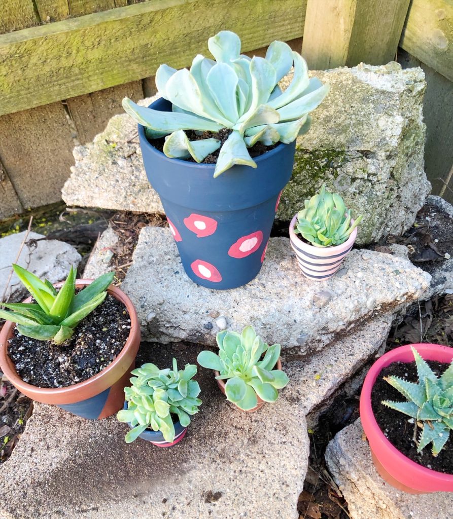 Terra Cotta Planters