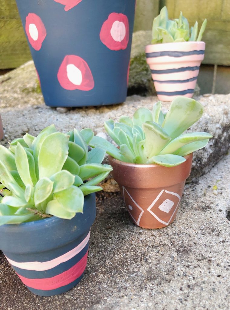 Terra Cotta Planters