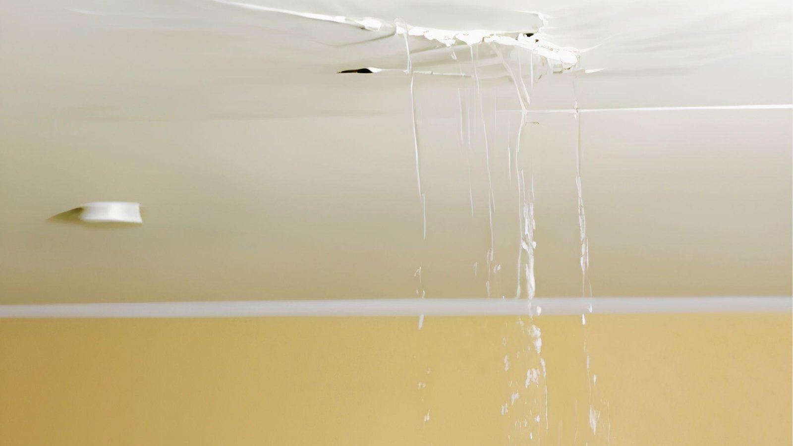 Basement ceiling water leak increasing renovation repair costs
