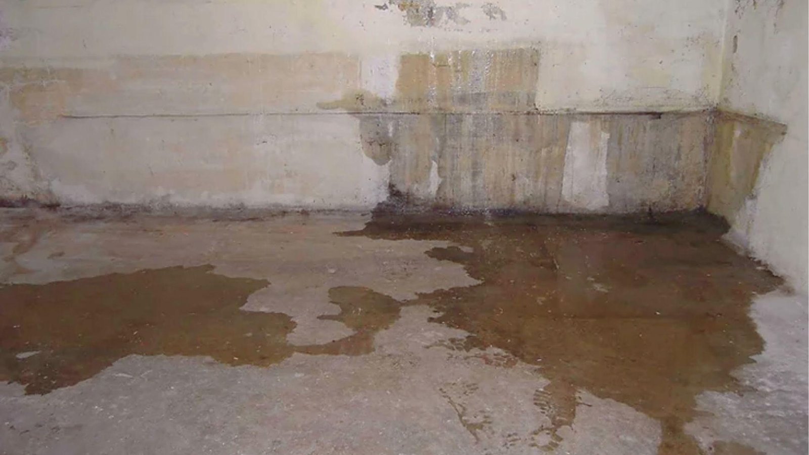 Unfinished basement with active water pooling on the concrete floor and dark moisture stains on the walls.